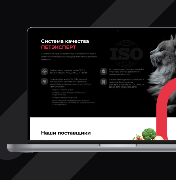 designslider